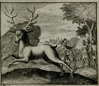 An illustration from Leerzame zinnebeelden : bestaande in christelyke bedenkingen door vergelykinge eeniger schepfelen ... (1704)