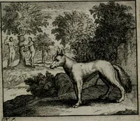 An illustration from Leerzame zinnebeelden : bestaande in christelyke bedenkingen door vergelykinge eeniger schepfelen ... (1704)