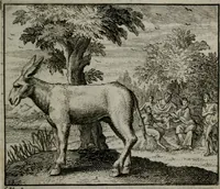 Picture 33 of 113 from Leerzame zinnebeelden : bestaande in christelyke bedenkingen door vergelykinge eeniger schepfelen ... (1704), leaf 94