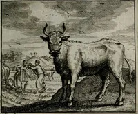An illustration from Leerzame zinnebeelden : bestaande in christelyke bedenkingen door vergelykinge eeniger schepfelen ... (1704)