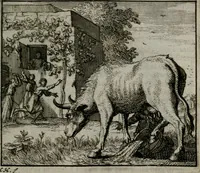 An illustration from Leerzame zinnebeelden : bestaande in christelyke bedenkingen door vergelykinge eeniger schepfelen ... (1704)