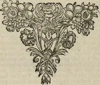 Picture 22 of 54 from Leeven en daden der doorluchtighste zee-helden en ontdeckers van landen deser eeuwen : beginnende met Christoffel Colombus, vinder van de nieuwe wereldt, en eyndigende met den roemruchtigen admirael M.A. de Ruyter, Ridd. &c. : vertoonende veel vreemde voorvallen, dappere verrichtingen, stoutmoedige bestieringen, en swaere zee-slagen, &c. : naeukeurigh, uyt veele geloofwaerdige schriften, en authentijcke stucken, by een gebracht, en beschreven (1676), leaf 315