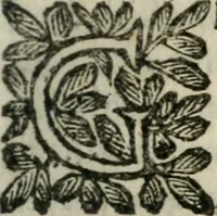 An illustration from Le finezze de pennelli italiani, ammirate, e studiate da Girupeno sotto la scorta, e disciplina del genio di Raffaello d'Vrbino : con vna curiosa, ed'attentissima osseruatione di tutto ciò, che facilmente possa riuscire d'vtile, e di diletto à chi desidera rendersi perfetto nella teorica, e prattica della nobil'arte della pittura (1674)