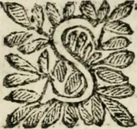 Picture 56 of 69 from Le finezze de pennelli italiani, ammirate, e studiate da Girupeno sotto la scorta, e disciplina del genio di Raffaello d'Vrbino : con vna curiosa, ed'attentissima osseruatione di tutto ciò, che facilmente possa riuscire d'vtile, e di diletto à chi desidera rendersi perfetto nella teorica, e prattica della nobil'arte della pittura (1674), leaf 167