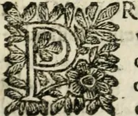 An illustration from Le finezze de pennelli italiani, ammirate, e studiate da Girupeno sotto la scorta, e disciplina del genio di Raffaello d'Vrbino : con vna curiosa, ed'attentissima osseruatione di tutto ciò, che facilmente possa riuscire d'vtile, e di diletto à chi desidera rendersi perfetto nella teorica, e prattica della nobil'arte della pittura (1674)