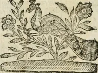 An illustration from Le finezze de pennelli italiani, ammirate, e studiate da Girupeno sotto la scorta, e disciplina del genio di Raffaello d'Vrbino : con vna curiosa, ed'attentissima osseruatione di tutto ciò, che facilmente possa riuscire d'vtile, e di diletto à chi desidera rendersi perfetto nella teorica, e prattica della nobil'arte della pittura (1674)