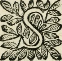 An illustration from Le finezze de pennelli italiani, ammirate, e studiate da Girupeno sotto la scorta, e disciplina del genio di Raffaello d'Vrbino : con vna curiosa, ed'attentissima osseruatione di tutto ciò, che facilmente possa riuscire d'vtile, e di diletto à chi desidera rendersi perfetto nella teorica, e prattica della nobil'arte della pittura (1674)