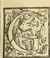 An illustration from Le fortificationi di Buonaiuto Lorini, nobile fiorentino ... : con l'aggiunta del sesto libro doue si mostra, con la scienza e con la pratica, l'ordine di fortificare le città & altri luoghi, con tutti gli auuertimenti, che più possono apportar benficio per la sicurtà delle fortezze .. (1609)