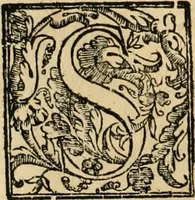 An illustration from Le fortificationi di Buonaiuto Lorini, nobile fiorentino ... : con l'aggiunta del sesto libro doue si mostra, con la scienza e con la pratica, l'ordine di fortificare le città & altri luoghi, con tutti gli auuertimenti, che più possono apportar benficio per la sicurtà delle fortezze .. (1609)