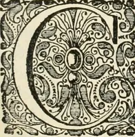 An illustration from Legatio batavica ad magnum Tartariæ chamum Sungteium, modernum Sinæ imperatorem. Historiarum narratione, quæ legatis in provinciis Quantung, Kiangsi, Nanking, Xantung, Peking, & aula imperatoriâ ab anno 1665 ad annum 1657 obtigerunt, ut & ardua Sinensium in bello tartarico fortunâ, provinciarum accurata geographia, urbium delineatione, nec non artis & naturæ miraculis ex animalium, vegetabilium, mineralium genere per centum & quinquaginta æneas figuras passim illustrata & conscripta vernacule (1668)