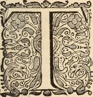 An illustration from Legatio batavica ad magnum Tartariæ chamum Sungteium, modernum Sinæ imperatorem. Historiarum narratione, quæ legatis in provinciis Quantung, Kiangsi, Nanking, Xantung, Peking, & aula imperatoriâ ab anno 1665 ad annum 1657 obtigerunt, ut & ardua Sinensium in bello tartarico fortunâ, provinciarum accurata geographia, urbium delineatione, nec non artis & naturæ miraculis ex animalium, vegetabilium, mineralium genere per centum & quinquaginta æneas figuras passim illustrata & conscripta vernacule (1668)