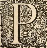 An illustration from Legatio batavica ad magnum Tartariæ chamum Sungteium, modernum Sinæ imperatorem. Historiarum narratione, quæ legatis in provinciis Quantung, Kiangsi, Nanking, Xantung, Peking, & aula imperatoriâ ab anno 1665 ad annum 1657 obtigerunt, ut & ardua Sinensium in bello tartarico fortunâ, provinciarum accurata geographia, urbium delineatione, nec non artis & naturæ miraculis ex animalium, vegetabilium, mineralium genere per centum & quinquaginta æneas figuras passim illustrata & conscripta vernacule (1668)