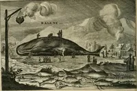 An illustration from Legatio batavica ad magnum Tartariæ chamum Sungteium, modernum Sinæ imperatorem. Historiarum narratione, quæ legatis in provinciis Quantung, Kiangsi, Nanking, Xantung, Peking, & aula imperatoriâ ab anno 1665 ad annum 1657 obtigerunt, ut & ardua Sinensium in bello tartarico fortunâ, provinciarum accurata geographia, urbium delineatione, nec non artis & naturæ miraculis ex animalium, vegetabilium, mineralium genere per centum & quinquaginta æneas figuras passim illustrata & conscripta vernacule (1668)