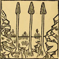 An illustration from The legendary history of the cross : a series of sixty-four woodcuts from a Dutch book published by Veldener, A.D. 1483 ; with an introduction written and illustrated by John Ashton ; preface by S. Baring Gould (1887)
