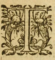 Picture 4 of 9 from Legende doree, ou, Sommaire de l'histoire des freres Mendians dans l'Ordre de Dominique, & de Francʹois : comprenant briefuement & veritablement l'origine, le progrez, la doctrine & les combats d'iceux : tant contre l'eglise gallicane principalement, que cotre les papes & entr'eux mesmes depuis quatre cens ans (1608), leaf 41