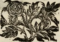 Picture 75 of 332 from Le glorie de gli incogniti : O vero gli hvomini illvstri della̓ccademia de ̓signori incogniti di venetia (1647), leaf 106