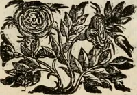 Picture 84 of 332 from Le glorie de gli incogniti : O vero gli hvomini illvstri della̓ccademia de ̓signori incogniti di venetia (1647), leaf 118