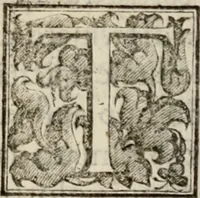 An illustration from Le glorie de gli incogniti : O vero gli hvomini illvstri della̓ccademia de ̓signori incogniti di venetia (1647)