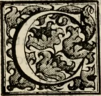 Picture 156 of 332 from Le glorie de gli incogniti : O vero gli hvomini illvstri della̓ccademia de ̓signori incogniti di venetia (1647), leaf 212