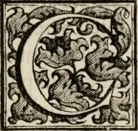 Picture 162 of 332 from Le glorie de gli incogniti : O vero gli hvomini illvstri della̓ccademia de ̓signori incogniti di venetia (1647), leaf 220