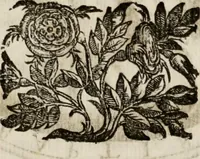 Picture 166 of 332 from Le glorie de gli incogniti : O vero gli hvomini illvstri della̓ccademia de ̓signori incogniti di venetia (1647), leaf 226