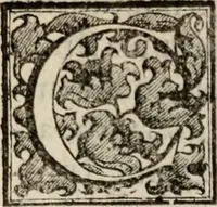 Picture 173 of 332 from Le glorie de gli incogniti : O vero gli hvomini illvstri della̓ccademia de ̓signori incogniti di venetia (1647), leaf 236