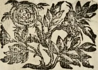 An illustration from Le glorie de gli incogniti : O vero gli hvomini illvstri della̓ccademia de ̓signori incogniti di venetia (1647)