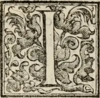 An illustration from Le glorie de gli incogniti : O vero gli hvomini illvstri della̓ccademia de ̓signori incogniti di venetia (1647)
