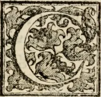 Picture 216 of 332 from Le glorie de gli incogniti : O vero gli hvomini illvstri della̓ccademia de ̓signori incogniti di venetia (1647), leaf 292