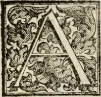 An illustration from Le glorie de gli incogniti : O vero gli hvomini illvstri della̓ccademia de ̓signori incogniti di venetia (1647)