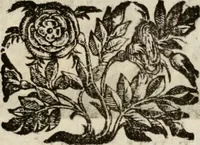 Picture 226 of 332 from Le glorie de gli incogniti : O vero gli hvomini illvstri della̓ccademia de ̓signori incogniti di venetia (1647), leaf 306