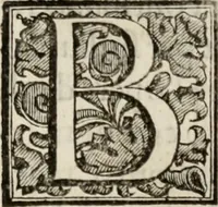 An illustration from Le glorie de gli incogniti : O vero gli hvomini illvstri della̓ccademia de ̓signori incogniti di venetia (1647)