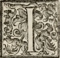 An illustration from Le glorie de gli incogniti : O vero gli hvomini illvstri della̓ccademia de ̓signori incogniti di venetia (1647)