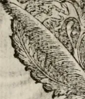 An illustration from Le glorie de gli incogniti : O vero gli hvomini illvstri della̓ccademia de ̓signori incogniti di venetia (1647)