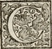 An illustration from Le glorie de gli incogniti : O vero gli hvomini illvstri della̓ccademia de ̓signori incogniti di venetia (1647)