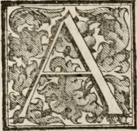 An illustration from Le glorie de gli incogniti : O vero gli hvomini illvstri della̓ccademia de ̓signori incogniti di venetia (1647)