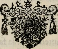 Picture 32 of 332 from Le glorie de gli incogniti : O vero gli hvomini illvstri della̓ccademia de ̓signori incogniti di venetia (1647), leaf 49
