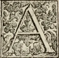 Picture 50 of 332 from Le glorie de gli incogniti : O vero gli hvomini illvstri della̓ccademia de ̓signori incogniti di venetia (1647), leaf 74