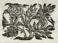 Picture 16 of 69 from Le glorie de gli Incogniti : o vero gli huomini illustri dell'Accademia de' signori incogniti de Venetia (1647), leaf 119