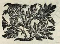 An illustration from Le glorie de gli Incogniti : o vero gli huomini illustri dell'Accademia de' signori incogniti de Venetia (1647)