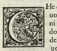 An illustration from Le glorie de gli Incogniti : o vero gli huomini illustri dell'Accademia de' signori incogniti de Venetia (1647)