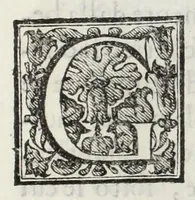 Picture 47 of 69 from Le glorie de gli Incogniti : o vero gli huomini illustri dell'Accademia de' signori incogniti de Venetia (1647), leaf 317