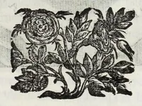 An illustration from Le glorie de gli Incogniti : o vero gli huomini illustri dell'Accademia de' signori incogniti de Venetia (1647)