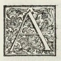 Picture 66 of 69 from Le glorie de gli Incogniti : o vero gli huomini illustri dell'Accademia de' signori incogniti de Venetia (1647), leaf 433
