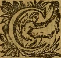 An illustration from Le grand esclairsissement de la pierre philosophale pour la transmutation de tous les metaux (1628)