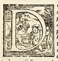 An illustration from Le historie del Sig. Agostino di Zarate contatore e consigliero dell' imperatore Carlo V. dello scoprimento et conquista del Perù, : nelle quali si ha piena & particolar relatione delle cose successe in quelle bande, dal principio fino alla pacificatione delle prouincie, si in quel che tocco allo scoprimento, come al successo delle guerre ciuili occorse fra gli Spagnuoli & capitani, che lo conquistarono. (1563)
