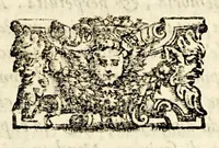 An illustration from Le historie del Sig. Agostino di Zarate contatore e consigliero dell' imperatore Carlo V. dello scoprimento et conquista del Perù, : nelle quali si ha piena & particolar relatione delle cose successe in quelle bande, dal principio fino alla pacificatione delle prouincie, si in quel che tocco allo scoprimento, come al successo delle guerre ciuili occorse fra gli Spagnuoli & capitani, che lo conquistarono. (1563)