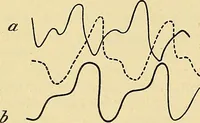 An illustration from Lehrbuch der Krankheiten des Herzens und der Blutgefässe (1906)
