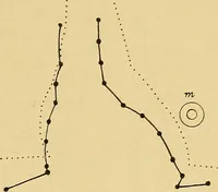 An illustration from Lehrbuch der Krankheiten des Herzens und der Blutgefässe (1906)