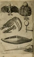 Picture 13 of 21 from Le iardin, et cabinet poetique de Paul Contant, apoticaire de Poictiers (1609), leaf 137